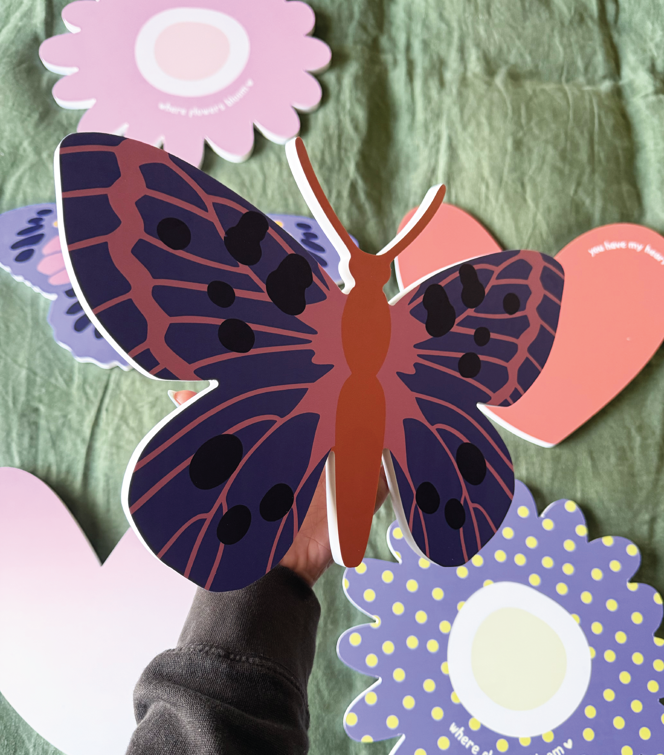Butterfly Violet Coral